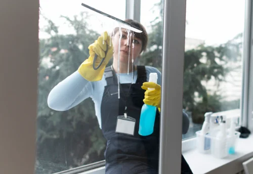 Nettoyage de vitres intérieures et extérieures à Boué